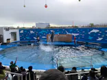 仙台うみの杜水族館に投稿された画像（2022/12/24）