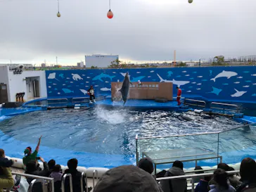仙台うみの杜水族館に投稿された画像（2022/12/24）