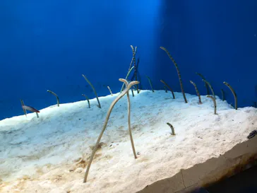 仙台うみの杜水族館に投稿された画像（2022/12/24）