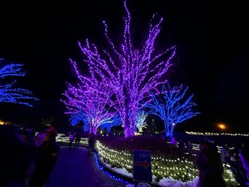 なばなの里に投稿された画像（2022/12/24）