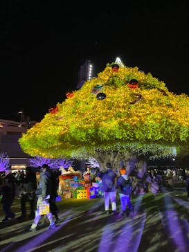 東京メガイルミに投稿された画像（2022/12/24）