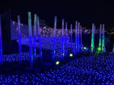 東京メガイルミに投稿された画像（2022/12/24）