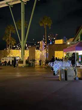 ひらかたパークに投稿された画像（2022/12/24）