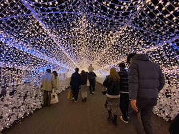 東京メガイルミに投稿された画像（2022/12/24）