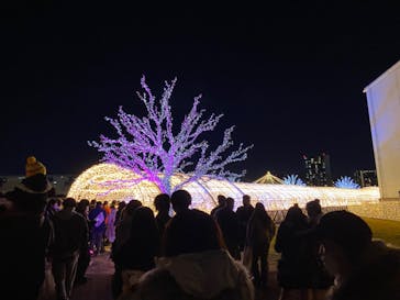 東京メガイルミに投稿された画像（2022/12/24）