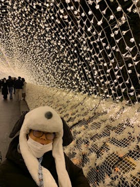 なばなの里に投稿された画像（2022/12/24）