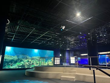 アクアワールド茨城県大洗水族館に投稿された画像（2022/12/24）