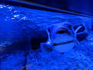 すみだ水族館に投稿された画像（2022/12/24）