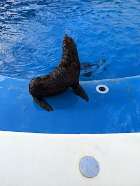 大分マリーンパレス水族館 「うみたまご」に投稿された画像（2022/12/24）