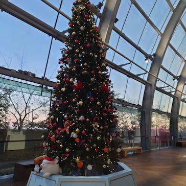 環境水族館アクアマリンふくしまに投稿された画像（2022/12/24）