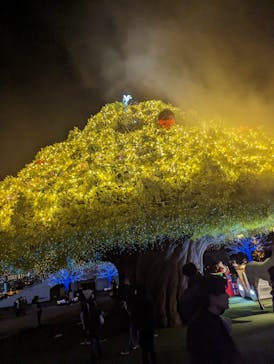 東京メガイルミに投稿された画像（2022/12/24）