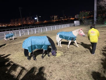 東京メガイルミに投稿された画像（2022/12/24）