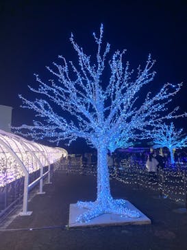 東京メガイルミに投稿された画像（2022/12/24）