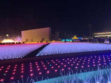 東京メガイルミに投稿された画像（2022/12/24）