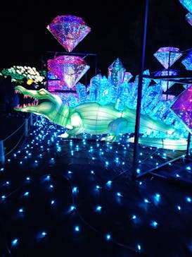 伊豆ぐらんぱる公園に投稿された画像（2022/12/24）