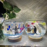 ずこうしつ〜sugamo〜に投稿された画像（2022/12/24）