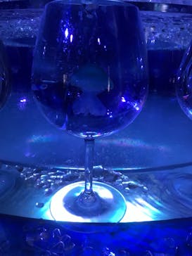 新江ノ島水族館に投稿された画像（2022/12/24）