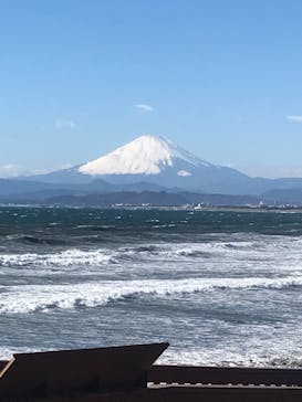 新江ノ島水族館に投稿された画像（2022/12/24）