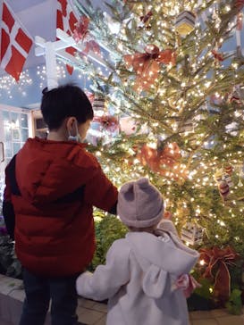 安城産業文化公園デンパークに投稿された画像（2022/12/24）