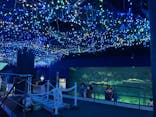 アクアワールド茨城県大洗水族館に投稿された画像（2022/12/24）