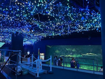 アクアワールド茨城県大洗水族館に投稿された画像（2022/12/24）