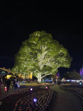 安城産業文化公園デンパークに投稿された画像（2022/12/24）