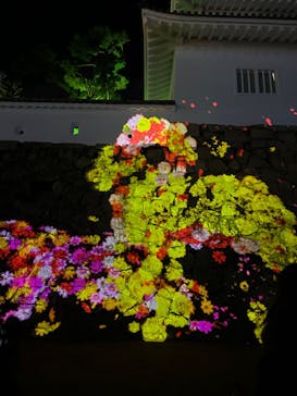 福山城400年博-FUKUYAMA CASTLE EXPO 2022- RCC開局70年 「チームラボ 福山城 光の祭」に投稿された画像（2022/12/24）