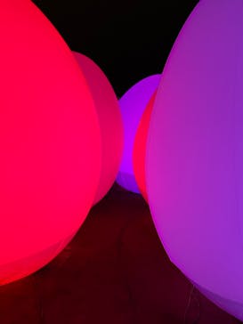 福山城400年博-FUKUYAMA CASTLE EXPO 2022- RCC開局70年 「チームラボ 福山城 光の祭」に投稿された画像（2022/12/24）