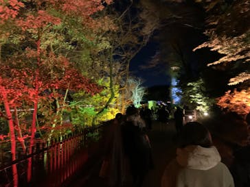 ムーミンバレーパークに投稿された画像（2022/12/24）