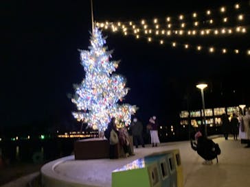 ムーミンバレーパークに投稿された画像（2022/12/24）