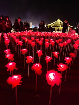 東京メガイルミに投稿された画像（2022/12/24）