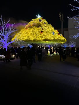 東京メガイルミに投稿された画像（2022/12/24）