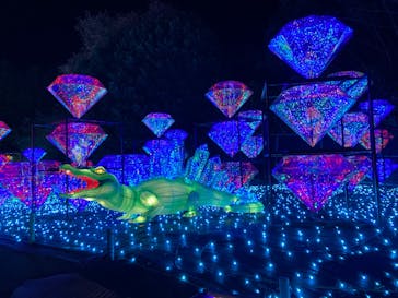 伊豆ぐらんぱる公園に投稿された画像（2022/12/24）