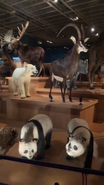 国立科学博物館に投稿された画像（2022/12/24）