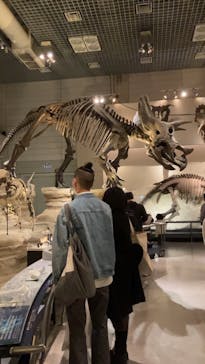 国立科学博物館に投稿された画像（2022/12/24）