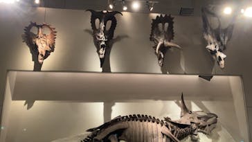 国立科学博物館に投稿された画像（2022/12/24）