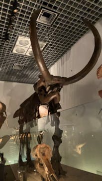 国立科学博物館に投稿された画像（2022/12/24）