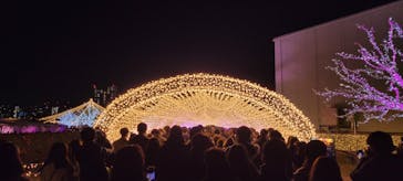 東京メガイルミに投稿された画像（2022/12/24）