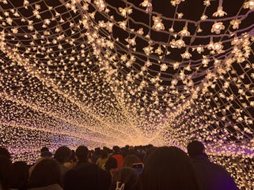 東京メガイルミに投稿された画像（2022/12/24）