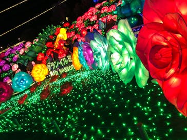 伊豆ぐらんぱる公園に投稿された画像（2022/12/24）