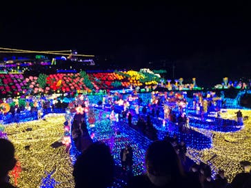 伊豆ぐらんぱる公園に投稿された画像（2022/12/24）