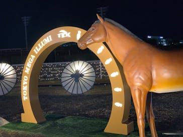 東京メガイルミに投稿された画像（2022/12/24）