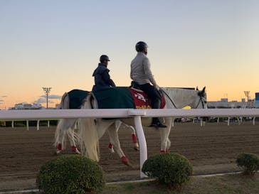 東京メガイルミに投稿された画像（2022/12/24）