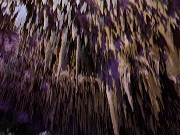 おきなわワールドに投稿された画像（2022/12/24）