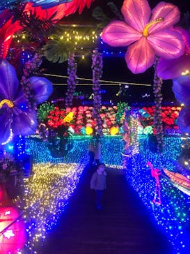 伊豆ぐらんぱる公園に投稿された画像（2022/12/24）