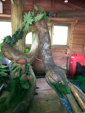 御菓子御殿　名護店　やんばる亜熱帯の森DINO恐竜PARKに投稿された画像（2022/12/24）