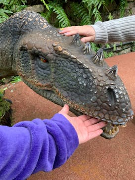 御菓子御殿　名護店　やんばる亜熱帯の森DINO恐竜PARKに投稿された画像（2022/12/24）