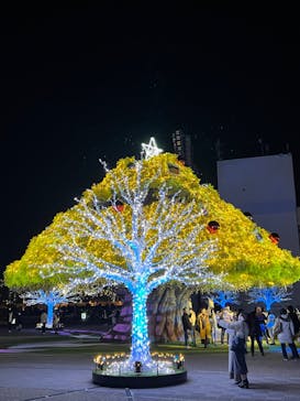 東京メガイルミに投稿された画像（2022/12/24）