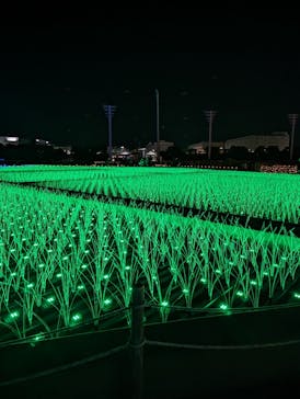 東京メガイルミに投稿された画像（2022/12/24）