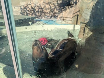 サンシャイン水族館に投稿された画像（2022/12/24）